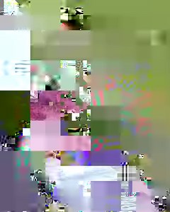 🇦🇺 Rhiannan Iffland making #highdiving history winning her third world title in a row at the World Championships in Fukuoka 🤩 | World Aquatics