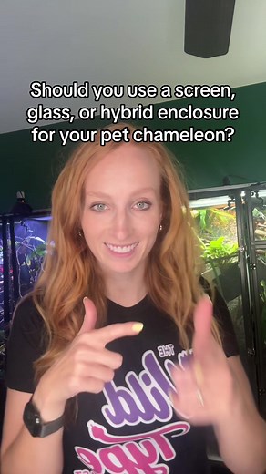 Screen enclosures Pros: 1. Great ventilation 2. Low price point 3. Easy to move 4. Lots of different brands available Cons: 1. Not great for low humidity places 2. Can be punctured 3. Cheaper brands can be flimsy 4. Mist spray can hit the walls if you don’t add a background Hybrid enclosures Pros: 1. Easier to control temps & humidity 2. Provides visual barrier between enclosures 3. Sturdy Cons: 1. More expensive 2. Harder to move 3. Fewer brands carry them Glass enclosures Pros: 1. Hold heat an