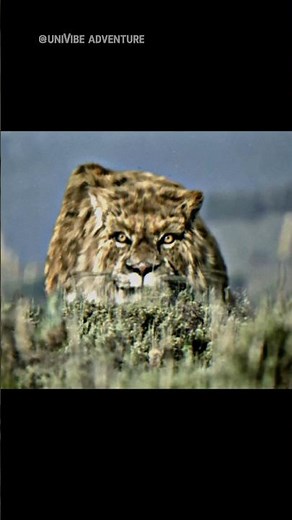 Scientists Are Bringing These Animals Back ... #animallife #extinctanimals