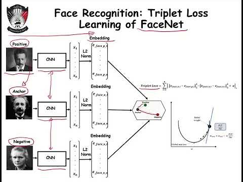 What is triplet loss ?