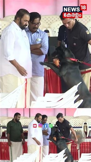 മന്ത്രി Vശിവൻകുട്ടിക്ക് സല്യൂട്ട് നൽകി പൊലീസ് നായ | V Sivankutty | Kerala Police | Dog Squad | N18S