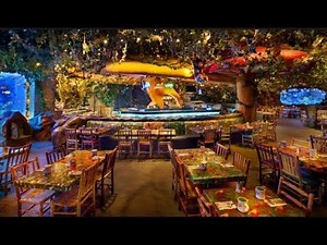 Rainforest Cafe Niagara Falls - Kids Favorite Cafe