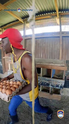 327K views · 23K reactions | Welcome to the Centre of Excellence in the training of Animal Health & Production, Agriculture and Education Science. Visit any of our campuses for application or send your academic and application documents to apply@mku.ac.ke September intake in progress. . #mountkenyauniversity #UnlockwithMKU | Mount Kenya University | Facebook