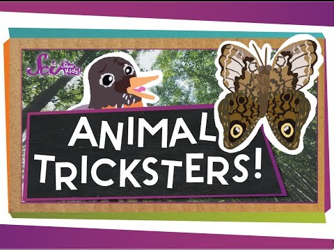 Animal Tricksters - Mimicry Vocabulary Lesson