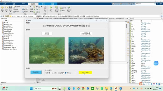 【图像增强】基于matlab GUI ACE+UPCP+Retinex图像增强【含Matlab源码 4652期】