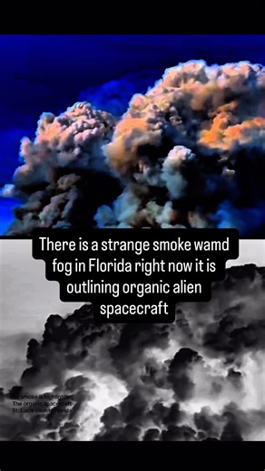 Brian Ladd on Instagram: "there is a strange smoke and fog in Florida. It is highlighting the actual spacecraft that are here and these are organic. There are numerous different sizes here. St. Louis county, Florida. My wife and I document UFO and alien activity in St. Lucie county Florida. We have been doing this for over a year. All our work is public domain. You are free to share copy or do whatever you want with our videos. Thank you for watching. Please share. Every video we make is in 4K 6