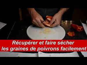 Comment récupérer les graines de poivrons ( tout les poivrons) pour les ressemer l'année d'après ?
