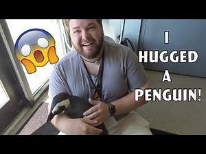 I HUGGED A PENGUIN! And more animal Encounters- Columbus Zoo Experience