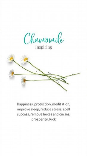 10 Magical Herbs and Plants For Witch Gardens 🌿 Witchcraft For Beginners