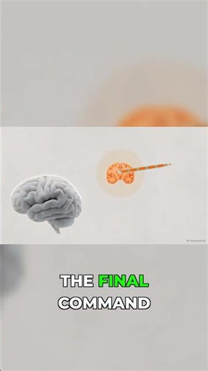 The flaw in basic brain-computer interface design