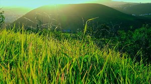 Countryside, Grass, Hill. Free Stock Video