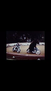 More epic 8mm footage I captured from my “Great Great grandfather from 1967. He went to the circus in San Diego and this is some highlights of what he filmed. #vintage #circus #8mm - the dude filmed everything lol - wonder where I get that from. It’s like a Time Machine to see this footage from so long ago. | ScottHansenfilm