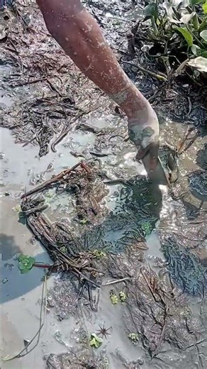 Fishing in Dirty Water Challenge! #fishing #handfish #fish #bigfish