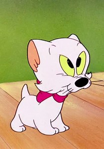 Looney Tunes S06:E17 - Operation: Rabbit / Kiddin' the Kitten / Little Red Rodent Hood