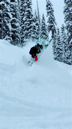 Returning to Snowmobiling Bliss