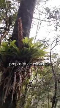 Teme a D’us e guarda os seus mandamentos, porque esse é o dever de todo homem.