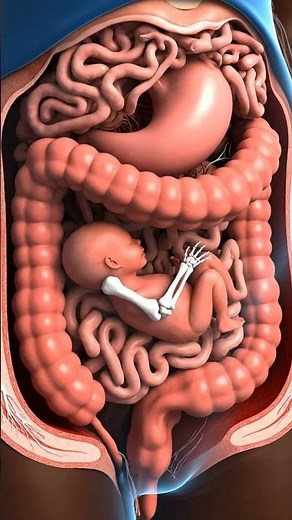 The Human Digestive Process | Realistic 3D Anatomy Animation#DigestiveSystem #HumanAnatomy