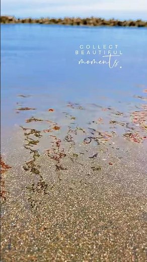 厳島神社から日本海を一望できる絶景新潟県糸魚川市の「弁天岩」 #御朱印巡り #観光 #鯉のぼり