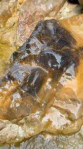 Hunting for gemstones and unique stones at gold mining sites. #huntinggemstone #hunting #gemstone #uniquestones #goldmining #huntinggear #freedom #photography | The GemsHunter