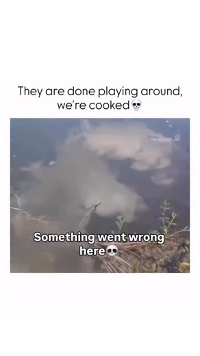MOVIE FUN 🍿 on Instagram: "This video begins by showing a muddy, murky edge of a pond or body of water with some low-lying plants in the foreground. An overlay text reads, “Something went wrong here 💀.” As the camera focuses on the water, the murky conditions gradually clear just enough to reveal a surprising sight: a perfectly organized, grid-like formation of small turtles resting just below the surface. The turtles are lined up neatly in rows and columns, creating an uncanny, almost man-mad