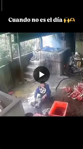 Why Near-Miss Reporting is Crucial for Workplace Safety | Kyle Broesder posted on the topic | LinkedIn