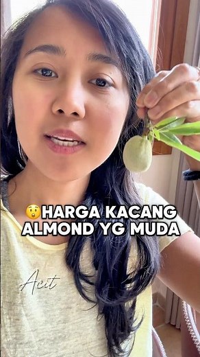 It turns out that young almonds are already being sold. We just have to pick them for free in our...