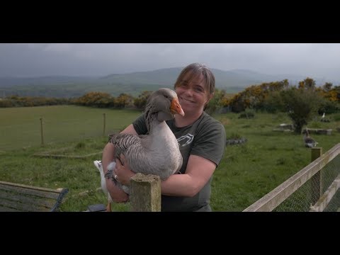 Building a sense of place through Manx: Red Mie