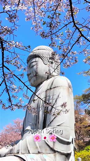 Discover Japan in Spring: A Stunning Visual Journey