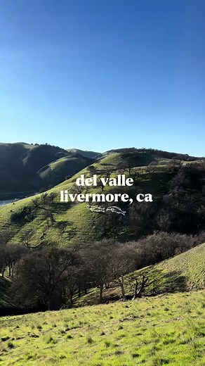 Nature-Inspired Windows Desktop Wallpaper from Del Valle