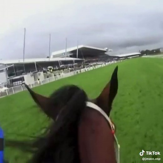 Exciting Horse Racing with Winx: Watch Her Unbelievable Speed!