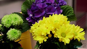 7K views · 13 shares | Need a gift idea for Mother's Day?  ‍...