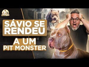 Brazilian Pit Monster | Ragnar | Digital Dog Training