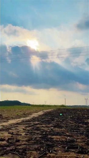 Mastering Photography: Unveiling the Magic of Ding Light