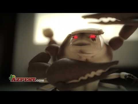 Tucson Scorpion Control Since 1947 | Arizona Pest Control