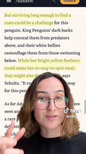 The Mystery of Yellow Penguins: DNA, Babies, and Survival Chances
