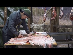 【里山狩猟生活#12】猪、鹿、生け獲り 鹿の革で絨毯作り