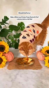 Inside Liebchen’s cozy autumn taste test