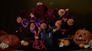 Decomposition for Kids - Experiments & Activities | Kidspace Children's Museum