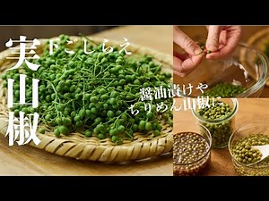 簡単！実山椒の下処理【醤油漬け、塩漬け、オイル漬け、ちりめん山椒に】