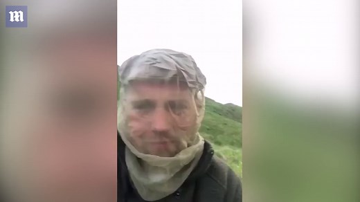 Midge mayhem misery: Man's hand covered in tiny biting insects