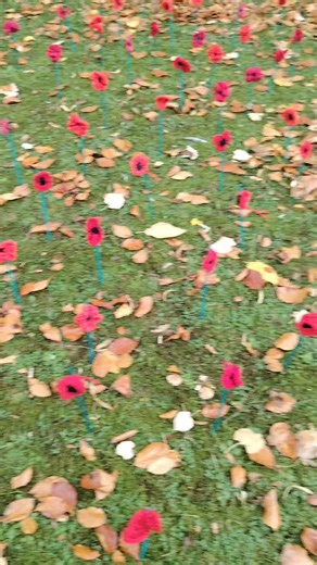The poppy field at Sowerby House. Our beautiful poppy field stands as a symbol of remembrance for those who gave their lives in service to our country. The poppy became a sign of remembrance after the First World War, inspired by the flowers that grew on the battlefields of Flanders despite the devastation. We will remember them. We Care Group | Sowerby House Care Home