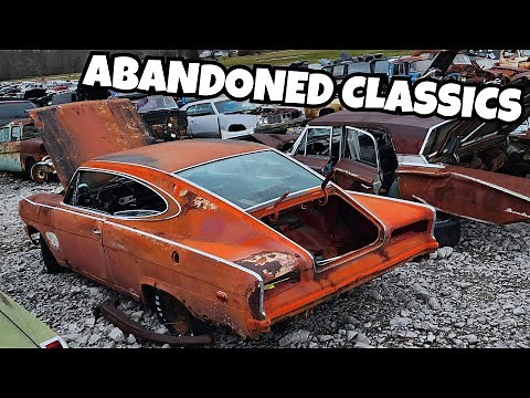 Finding Rare Muscle Cars in the Junkyard!
