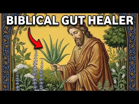 9 Biblical Herbs That Heal Your Gut — Ancient Wisdom Science Just Confirmed