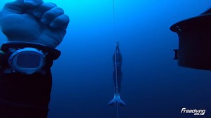 15K views · 318 reactions | Watch Alenka Artnik break the monofin freediving world record in Sharm El Sheikh reaching 114m  Andrea Zuccari | UNREEL | Facebook