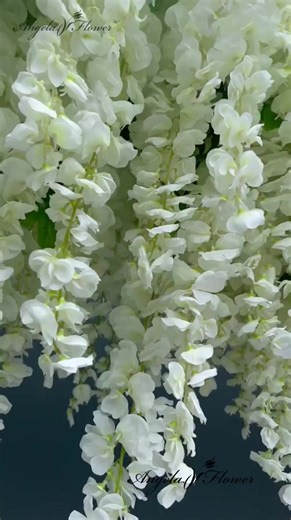 Angela flower on TikTok