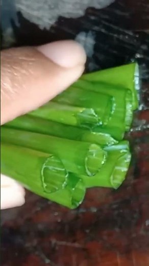 Proper way to cut spring onions for Stir fry and ramen #cuttingskills