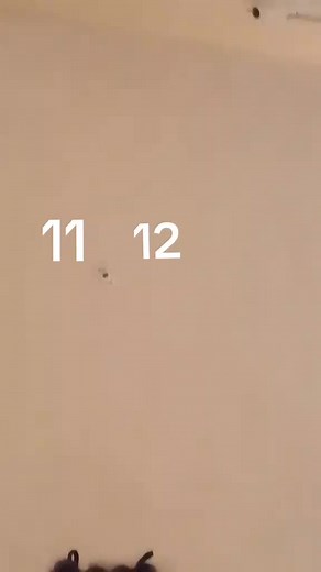 Exploring the Meaning Behind Numbers 11 and 12