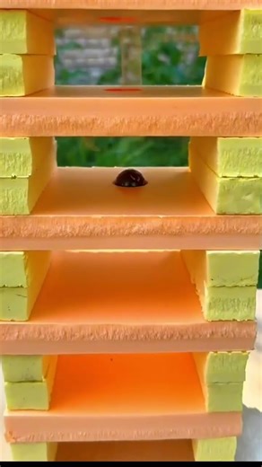 No Download Mini Game 😱 Just Click & Play! 🎮