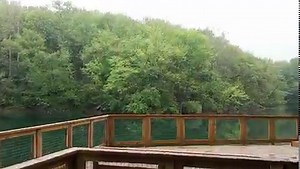 Now Open! Mill Creek MetroParks is pleased to announce the opening of Springfield Forest. Located on Springfield Road in Springfield Township (GPS Coordinates: 40.945004, -80.61493), this 88.38-acre property is open dawn to dusk and features a new entry drive and 16-car parking lot, aggregate and primitive hiking trails, a fishing pier and boardwalk, scenic vistas, facility signage, a picnic area, and 20 acres of ecological restoration. Recreational activities on the property include hiking alon