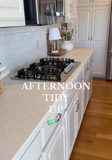 tidywithkayla on TikTok